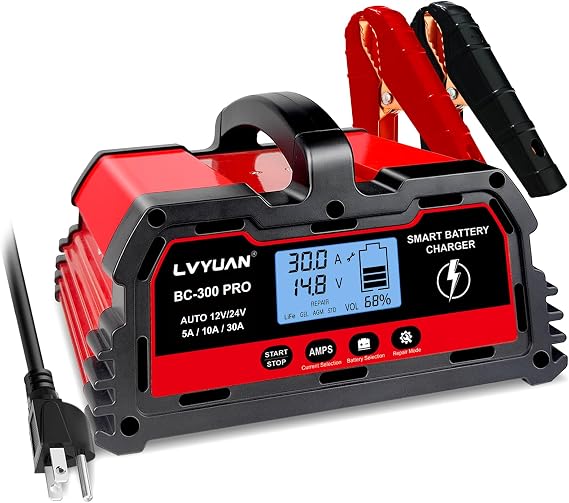 LVYUAN 30A Smart Car Battery Charge,12V and 24V Automotive Charger