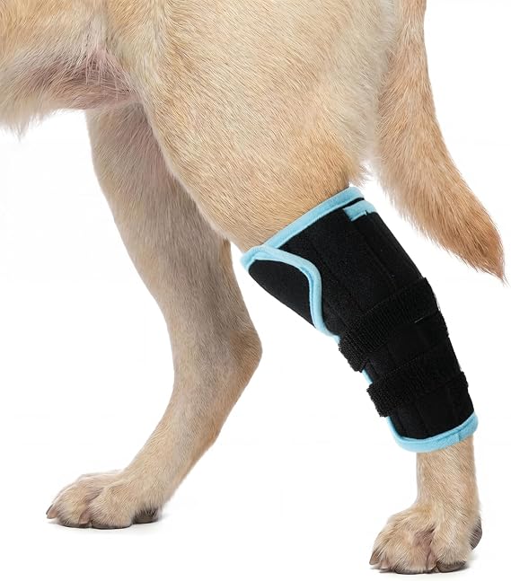 Kuoser Dog Leg Brace Large, Compression Wrap for Front & Back Legs, Adjustable Dog Knee Sleeve, Joint Support & Injury Recovery, Joint Stability Mobility Aid, Stops Licking & Protects Wounds Blue