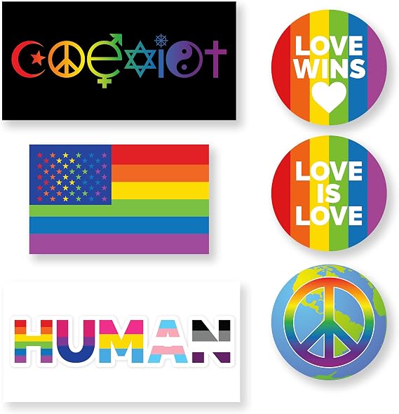 Extra Large, Waterproof LGBTQIA Stickers 6 Pc Set. XL Gay Pride Sticker Pack. Premium LGBTQ Ally Vinyl Decals for Windows, Walls, Water Bottles, Tumblers, Cars, Trucks, Bumpers, Crafts, Laptops, Skis
