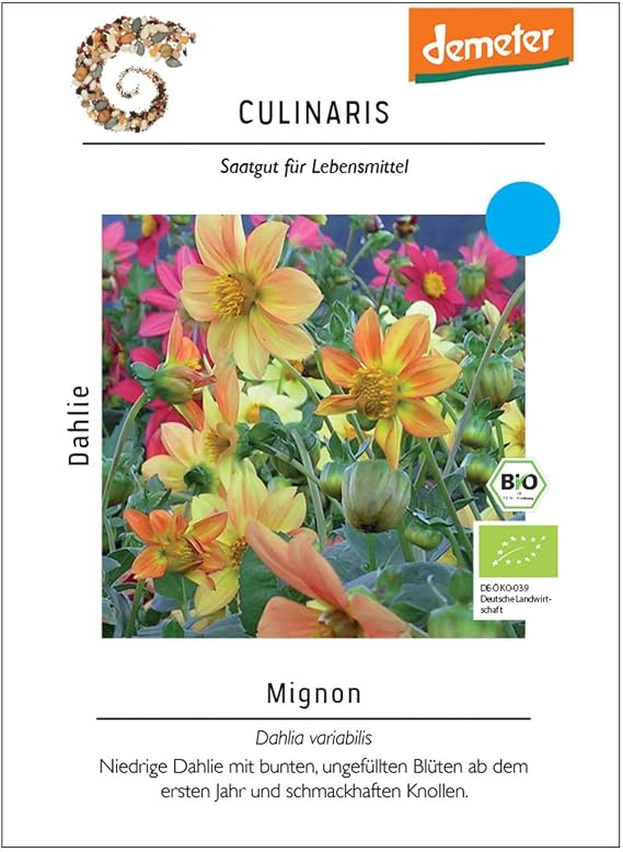 Dahlia 'Mignon' Flower Seeds