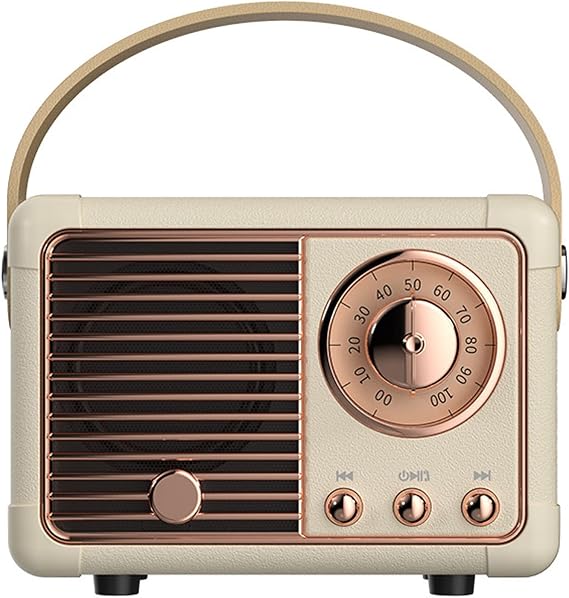 Luckyu Retro Bluetooth Speaker, Vintage Speaker with Old Fashioned Classic Style,Loud Volume, Bluetooth 5.0 Wireless Connection, Support TF Card, U Disk and AUX Audio Input (White)