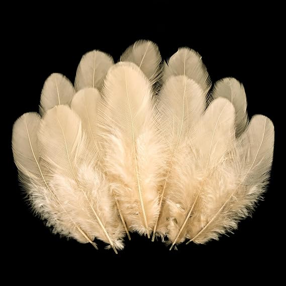 900pcs Champagne Feathers Bulk for Crafts - 3-5 Inch Natural Rooster Feathers for Dream Catchers, DIY, Teens Crafts, Party & Jewelry Decoration (26 Colors, Soft & Fade-Resistant)