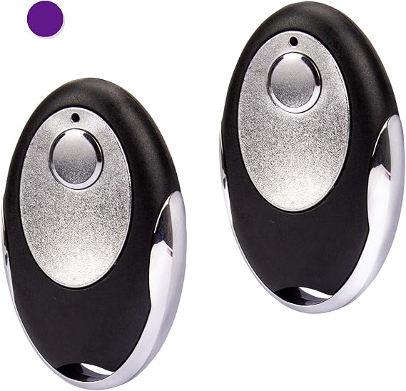 LAWOHO Compatible with Purple Learn Button Garage Door Remote Control Replacement for 373LM with Portable Keychain (2 Pack)