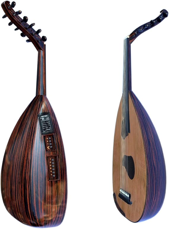 Special Arabic Electric Oud Ud Aoud String Musical Oud Instrument PROUD-5