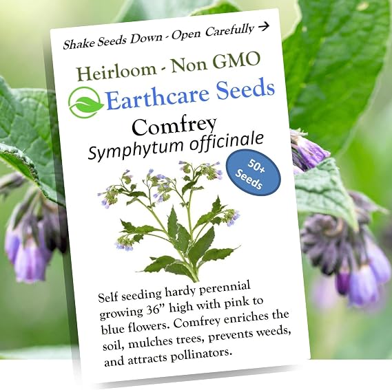 True Comfrey 50 Seeds (Symphytum officinale) Non GMO, Heirloom