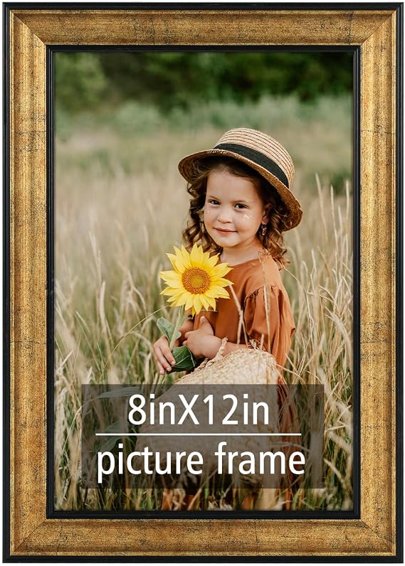 Frametory 8x12 Poster Picture Frame Real Glass Antique Gold