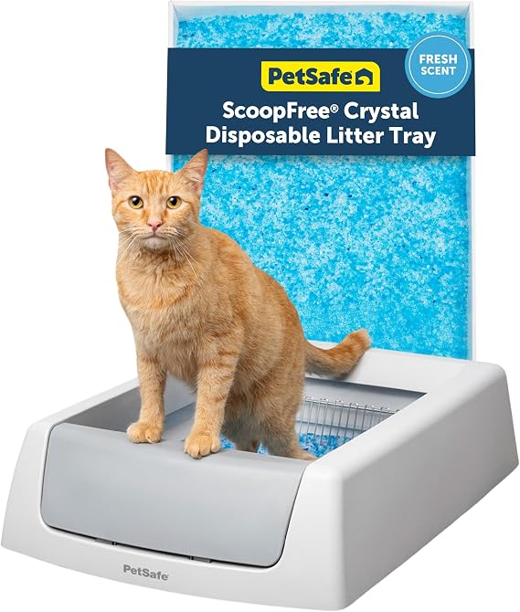 PetSafe ScoopFree Crystal Classic Self-Cleaning Litter Box, Gray