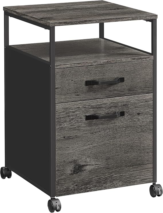 VASAGLE 2 Drawer File Cabinet, Rolling Printer Stand