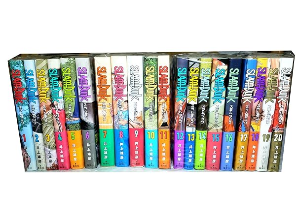 SLAM DUNK Slamdunk New Reorganization All 20 volumes set