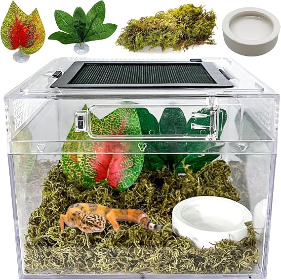 Mini Reptile Terrarium 8"x8"x7"Jumping Spider Tank Starter Kits with Full View Visually Appealing Reptile Enclosure Top Sliding Door Screen Ventilation Habitat Tanks for Lizard Snake Frog