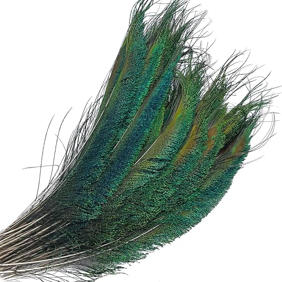 50pcs Natural Peacock Sword Feathers 12-14 Inch for Hat DIY Crafts Arts Wedding Party Home Decor Vase Decoration Floral Arrangements Christmas Tree Ornaments