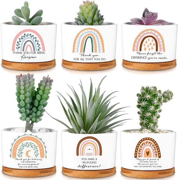 Sieral 6 Pcs Housekeeping Week Appreciation Gifts Bulk Ceramic Pot