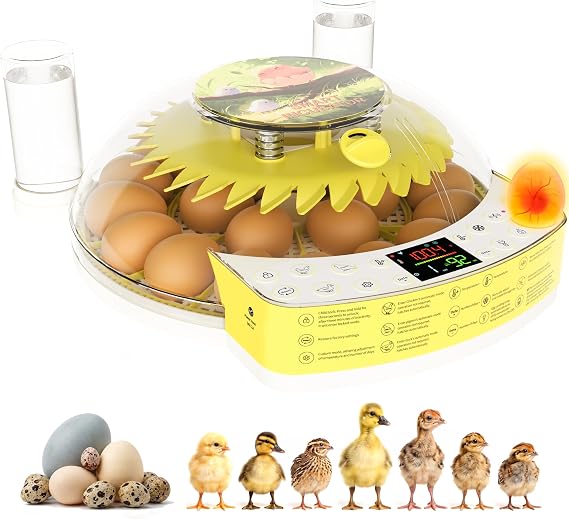 22-Egg Smart Incubators for Hatching Eggs with Automatic Turning
