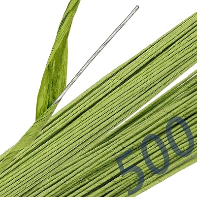 JOIKIT 500 Counts 16 Inch Green Floral Stem Wire, 14 Gauge 2MM Paper Wrapped Covered Flower Wire Florist Stem for DIY Crafts Artificial Flower Arrangements