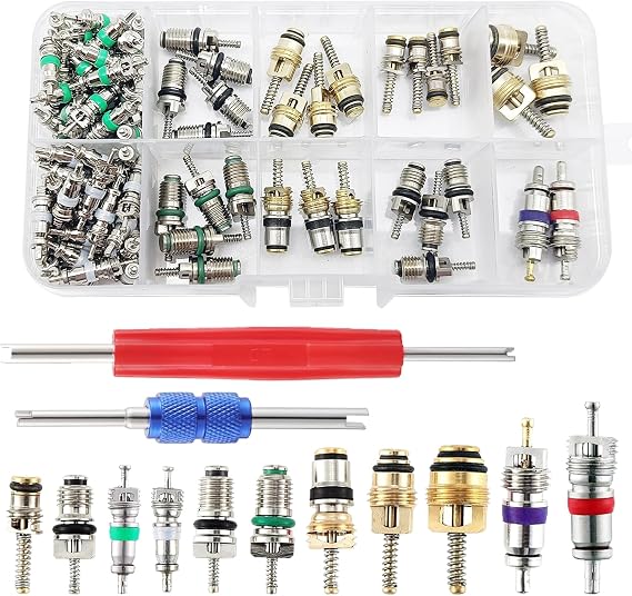102Pcs Air Conditioner Valve Accessories Kit, R12 R134a Automotive Air Conditioning Refrigeration Tire Valve Stem with Double Head Dual Dismantling Remover Tool Assortment Kit for Most Cars.
