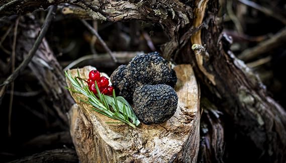 EXTREMELY FRESH WHITE & BLACK ITALIAN TRUFFLES From Italy, (Black, 4 Ounce)