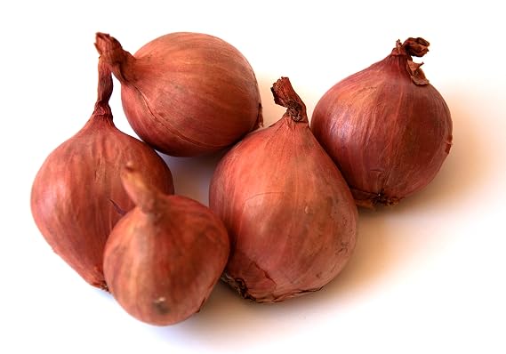 Fresh Shallots - 1lb