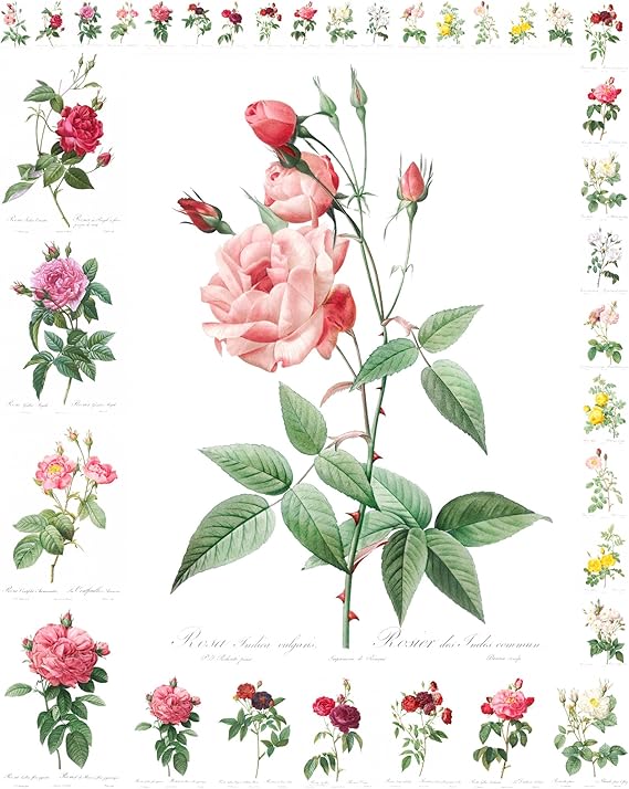 Decoupage Paper Pack (12 Sheets A4 / 8"x11") Roses Redoute Flowers FLONZ Vintage Ephemera