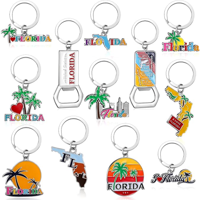 Landical Florida Metal Keychains Souvenirs and Gifts Bulk Miami Gift