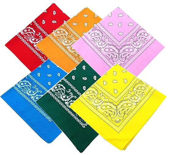 6PCS Bandanas for Women/Men Paisley Large Handkerchief Cotton Head Wrap Scarf Wristband (Bright Color)
